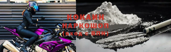 гашик Карталы