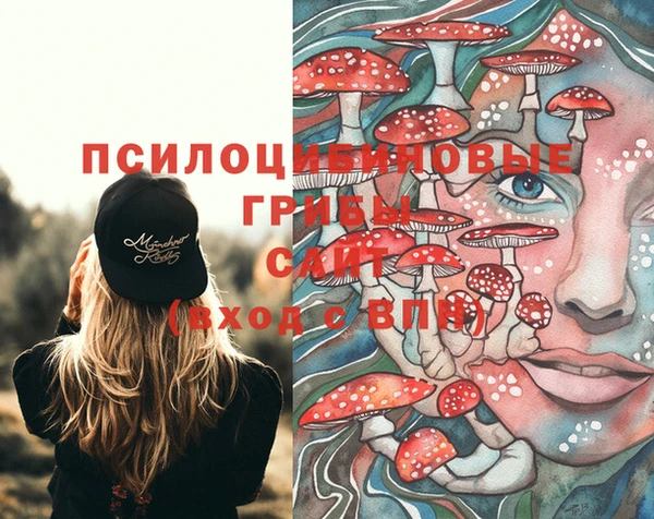 марки lsd Карпинск
