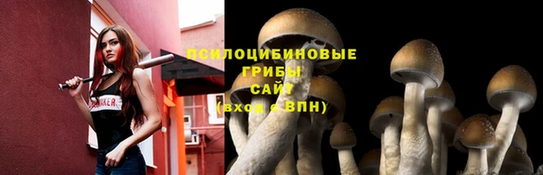 марки lsd Карпинск