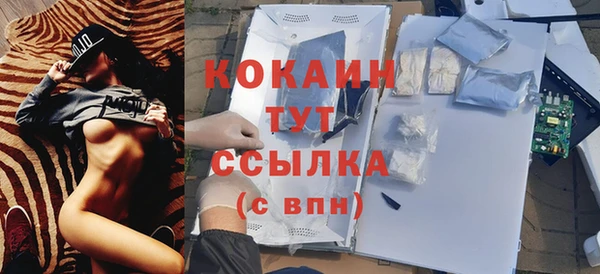 mix Касимов