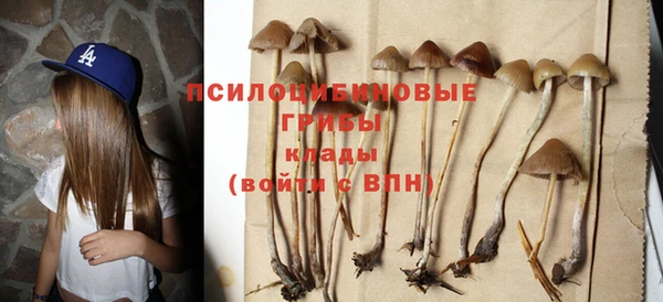 марки lsd Карпинск